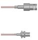 Amphenol Custom Cable Q-030040005012i