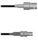 Amphenol Custom Cable Q-0300Q0003006i