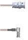 Amphenol Custom Cable Q-0J05G0005012i