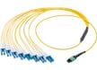 QSFP-DD 16F Cable Assemblies