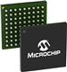 Microchip Technology DS3102GN2
